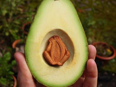 こんなん入っていました