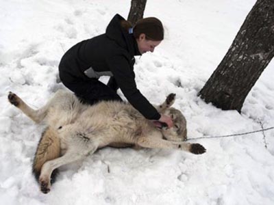 無邪気に戯れ合う