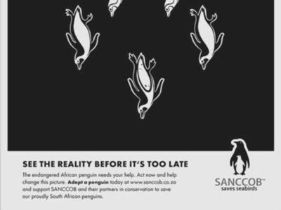 see the reality before it's too late