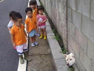 かわいそう…どうしてこうなった