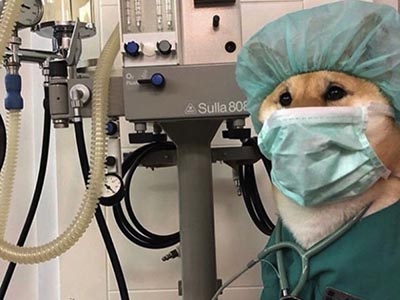 チェンジ！！！