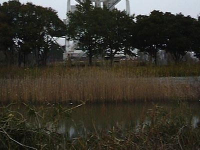 星がつたえる大地の動き