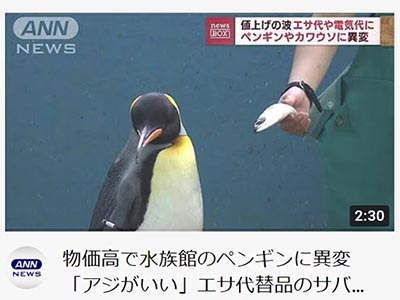 物価高騰の代償