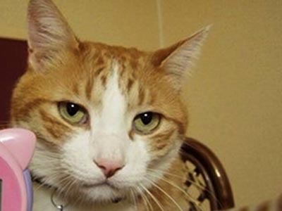 そんなものにたよるな