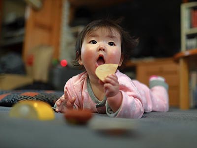 食べちゃダメ！