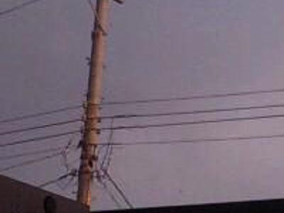 本物が入ってこない…