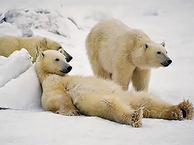 つかの間の休息