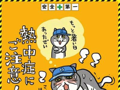 現場猫熱中症にご注意！