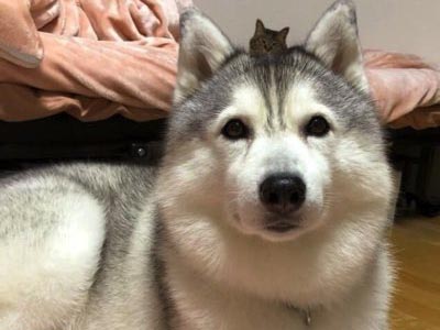 おわかり頂けただろうか？